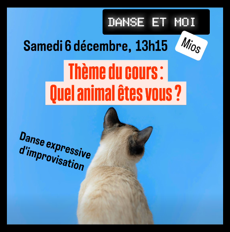 Capture-d-ecran-2025-11-30-180339