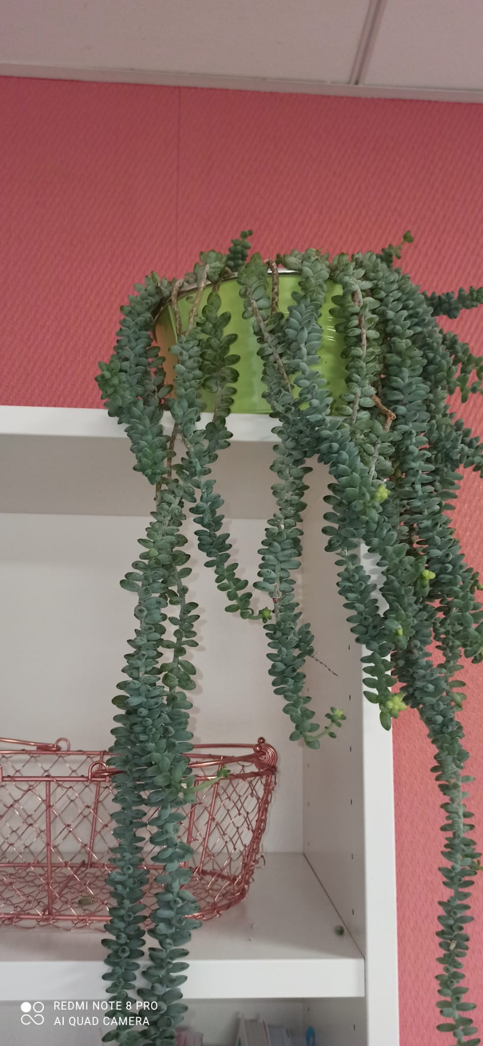 Whatsapp image 2025 10 29 at 16 52 10 2 