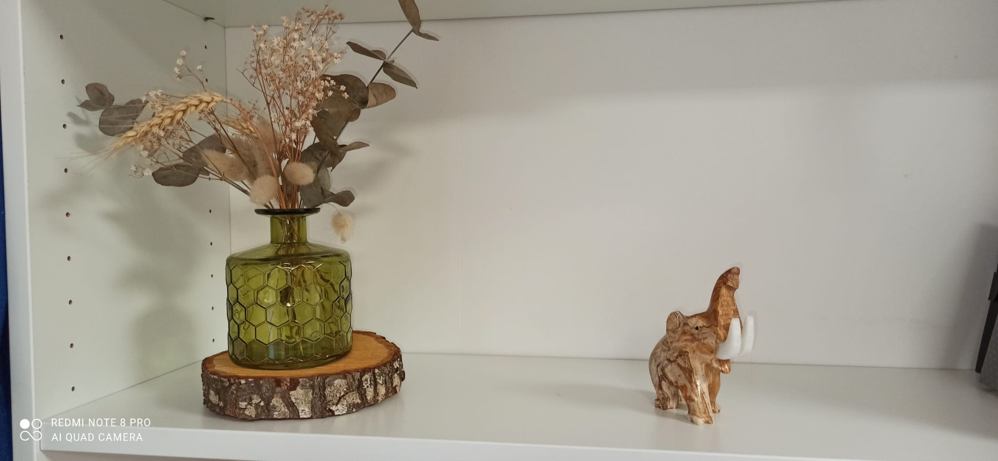 Whatsapp image 2025 10 29 at 16 52 10 6 