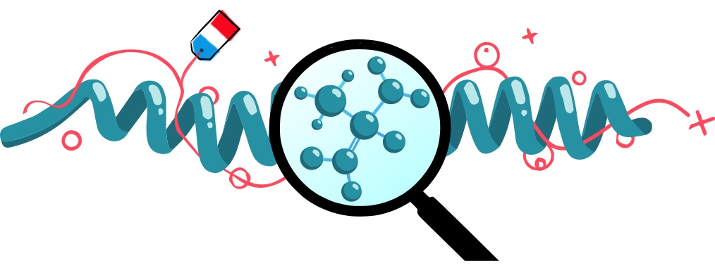 Loupe-molecule-phyco-spiruline-bio