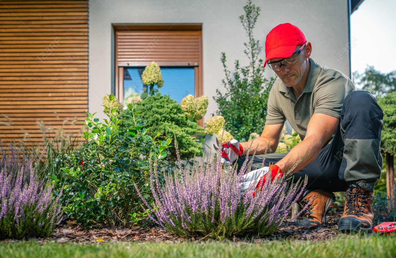 Image amenagement d exterieur