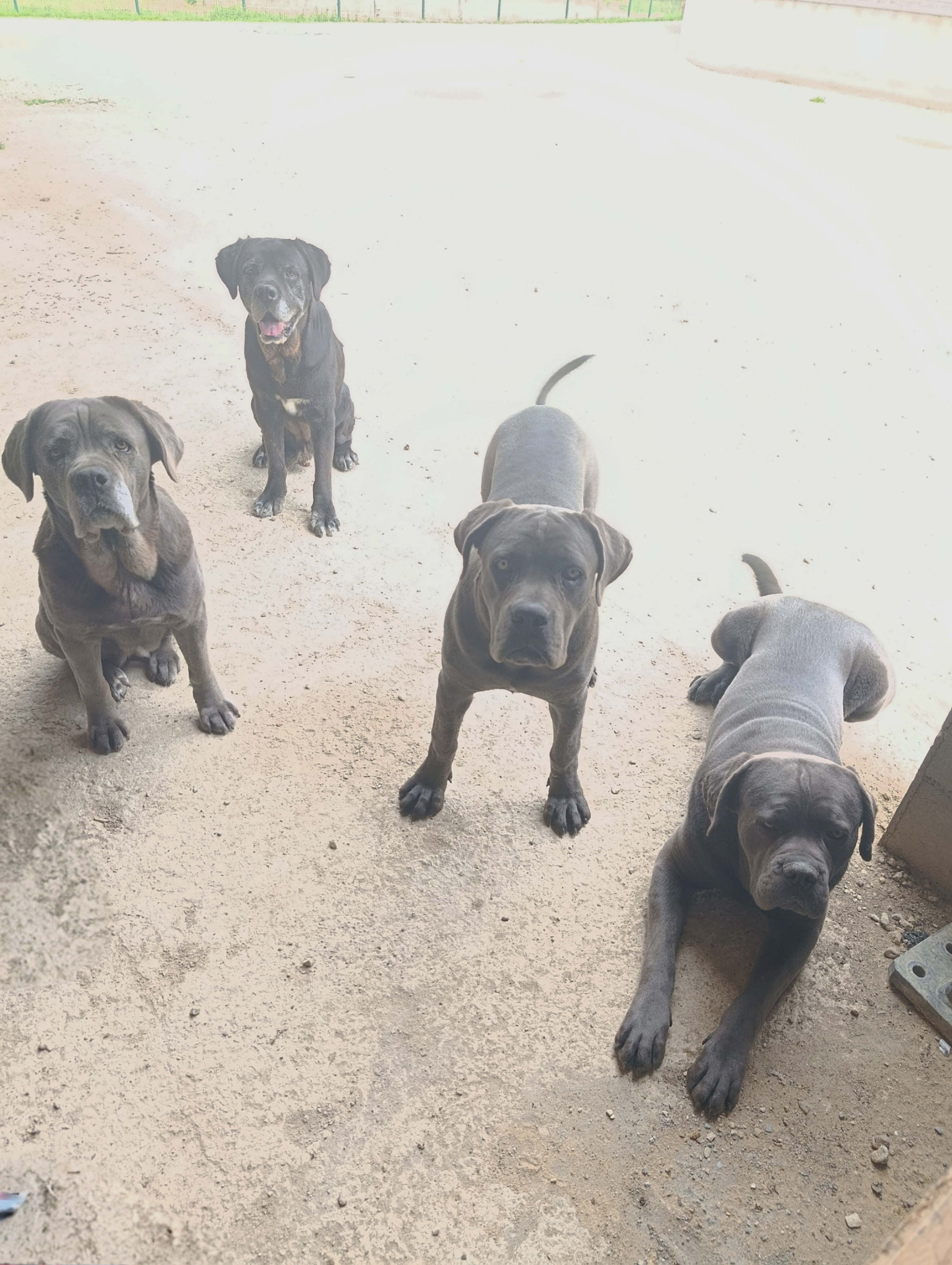 IMG 20250805 153433-1-