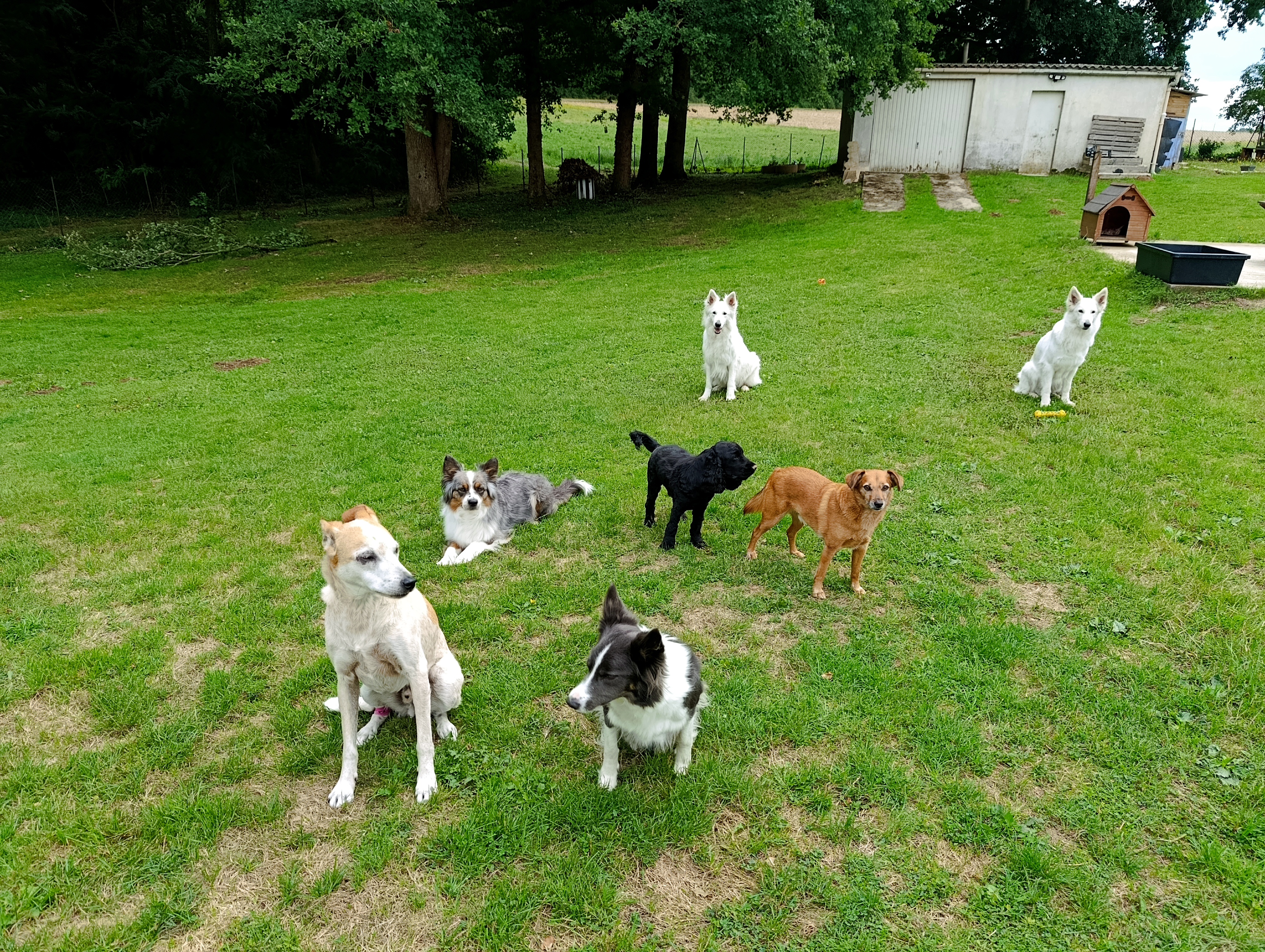 IMG 20250727 140547-1-