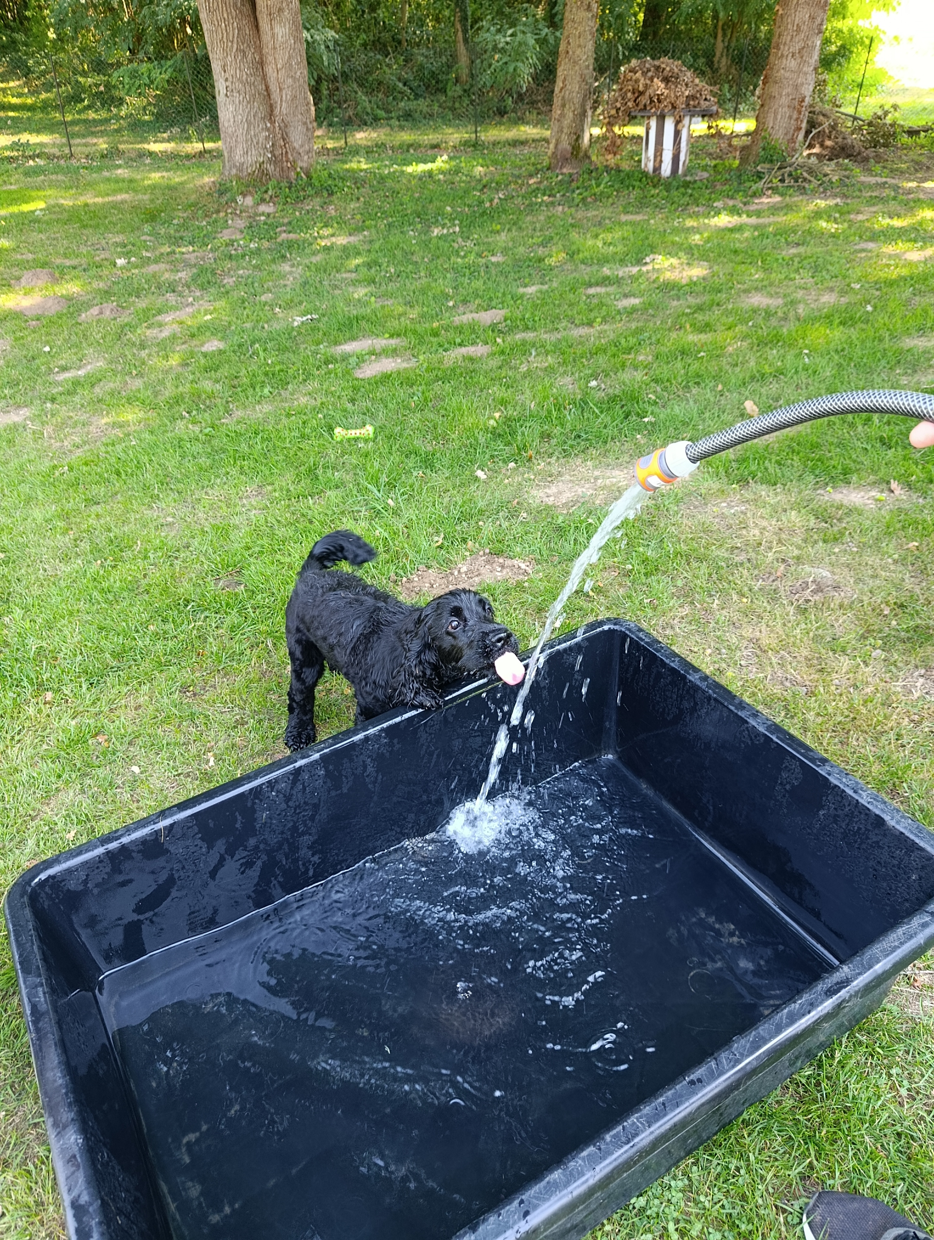 IMG 20250815 135718-1-