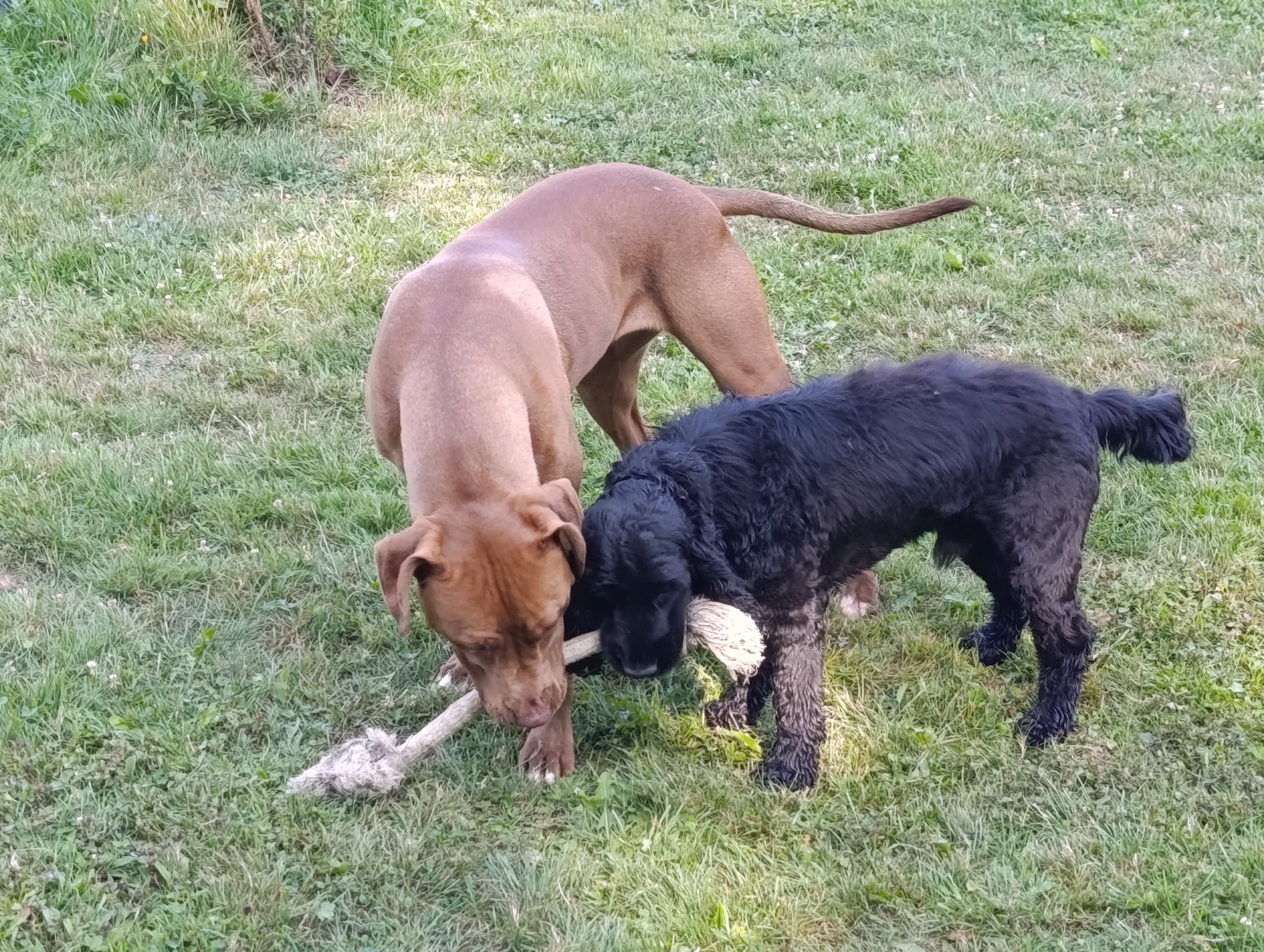 IMG 20250817 101414-1-