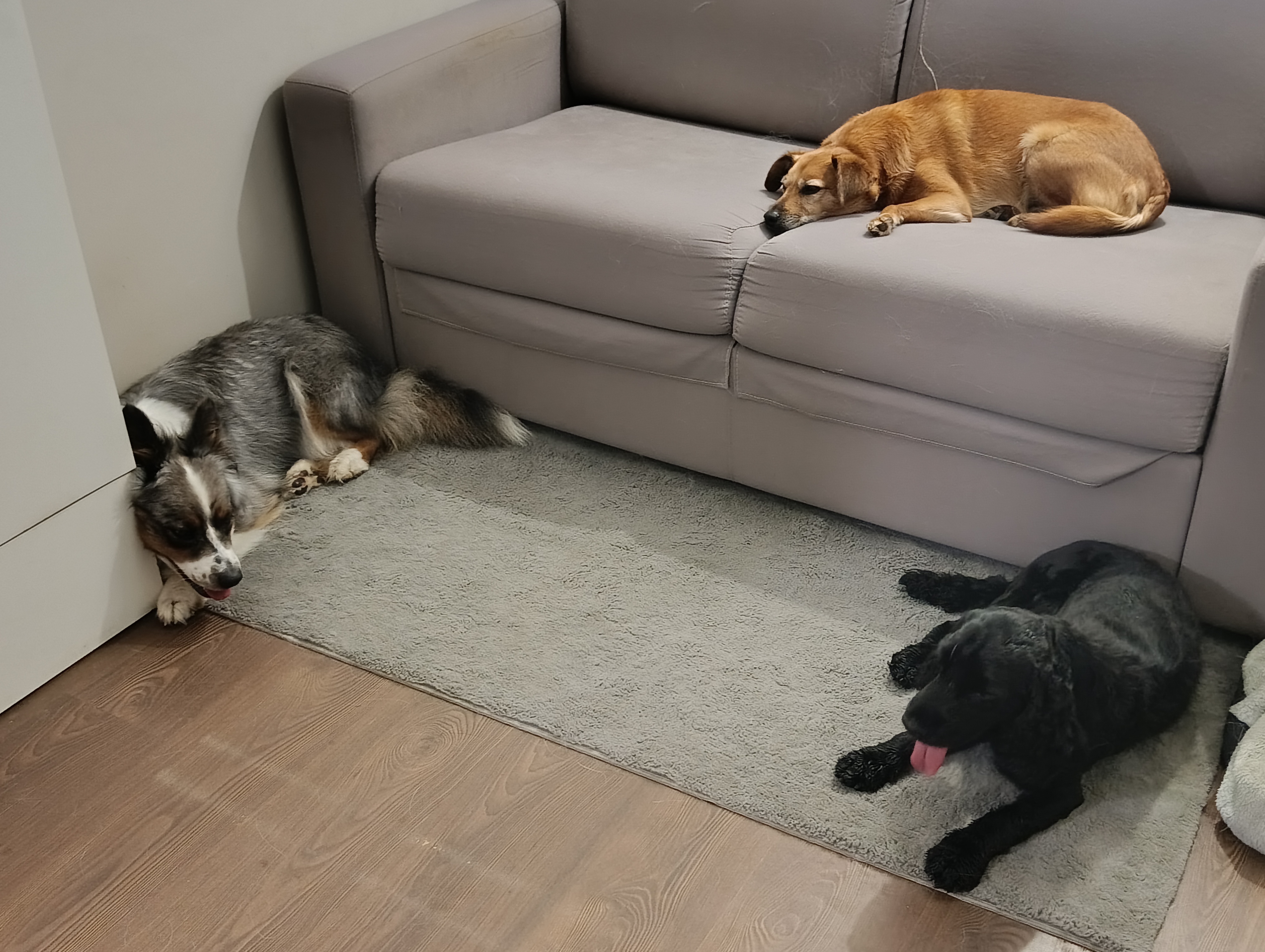 IMG 20250725 222625-1-