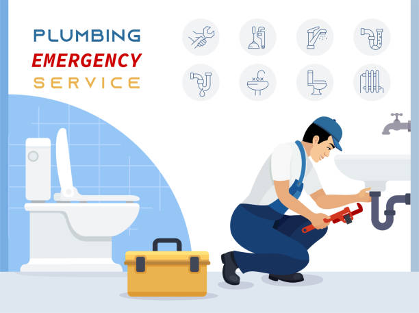 Istockphoto-1464376595-612x612