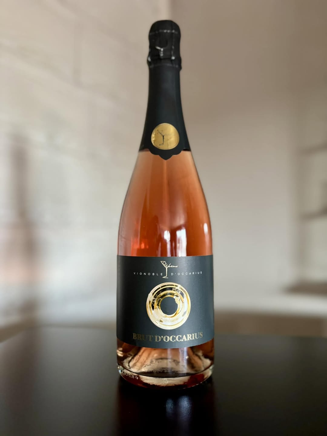 491923742 1244823174314159 8496963646744919995 n