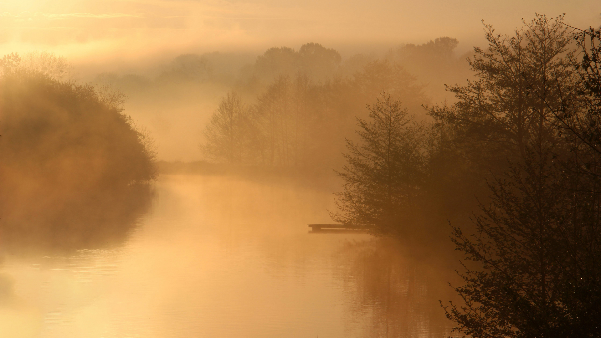 Martine le fevre aube doree 4326
