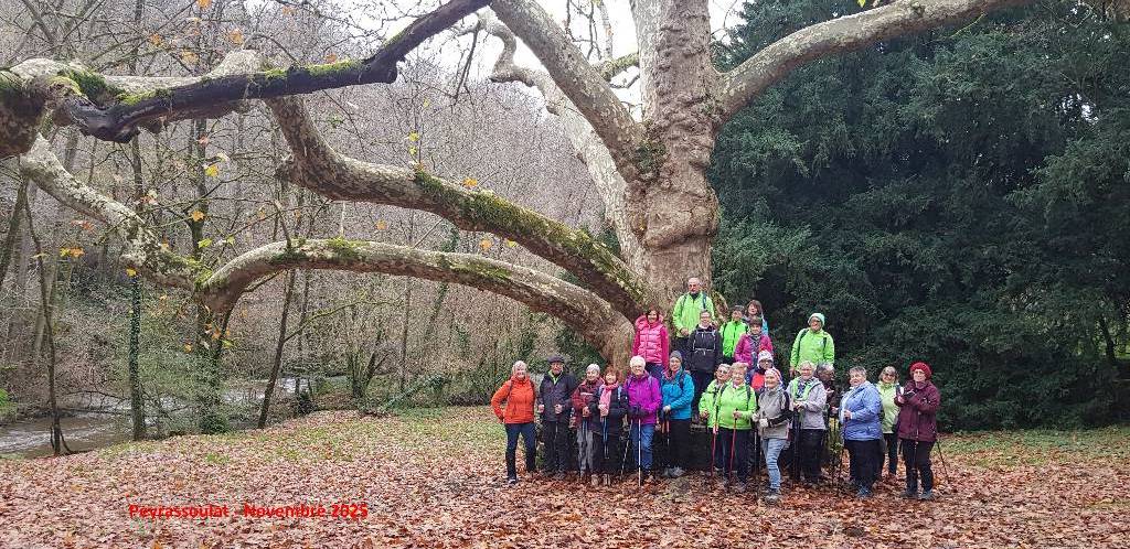 20251125 160718-redim1024