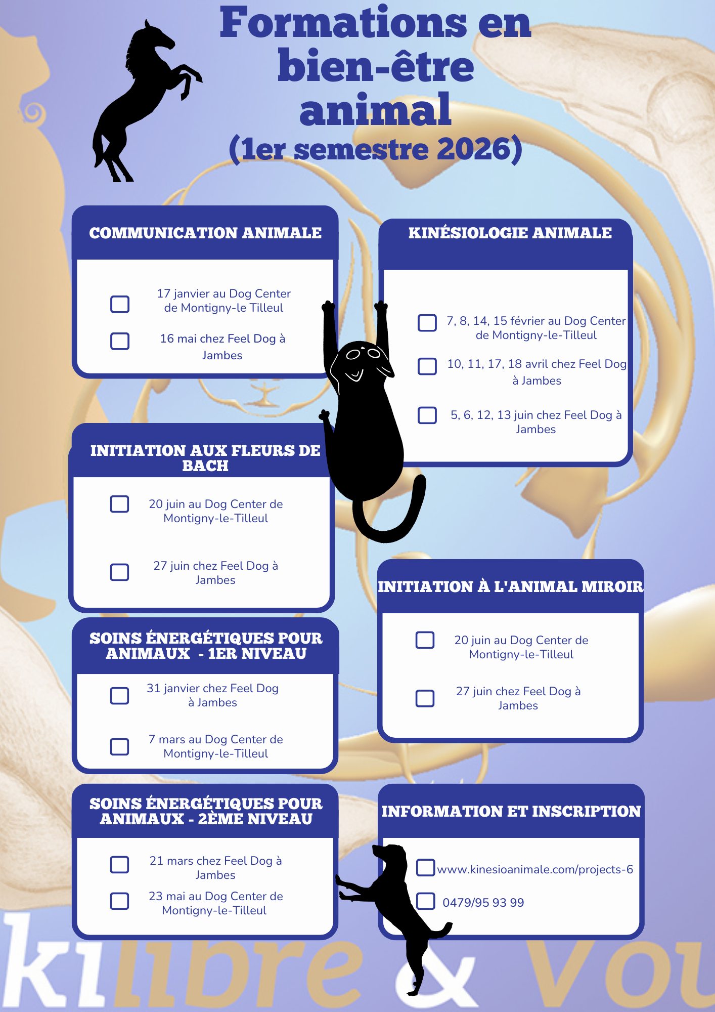 594558865 1443922744405053 3303733366809068837 n