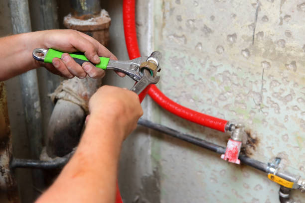 Istockphoto-862049124-612x612