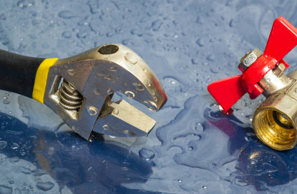 Istockphoto-1481335972-612x612