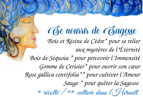 Capture-d-ecran-du-2025-12-06-22-33-59