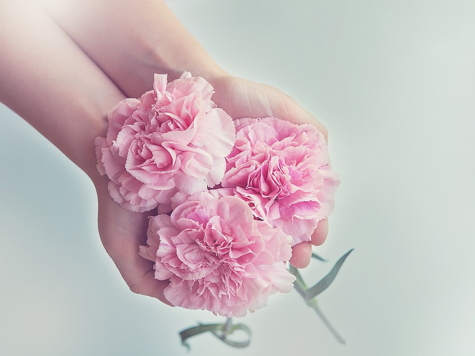 Flowers-1367675 960 720