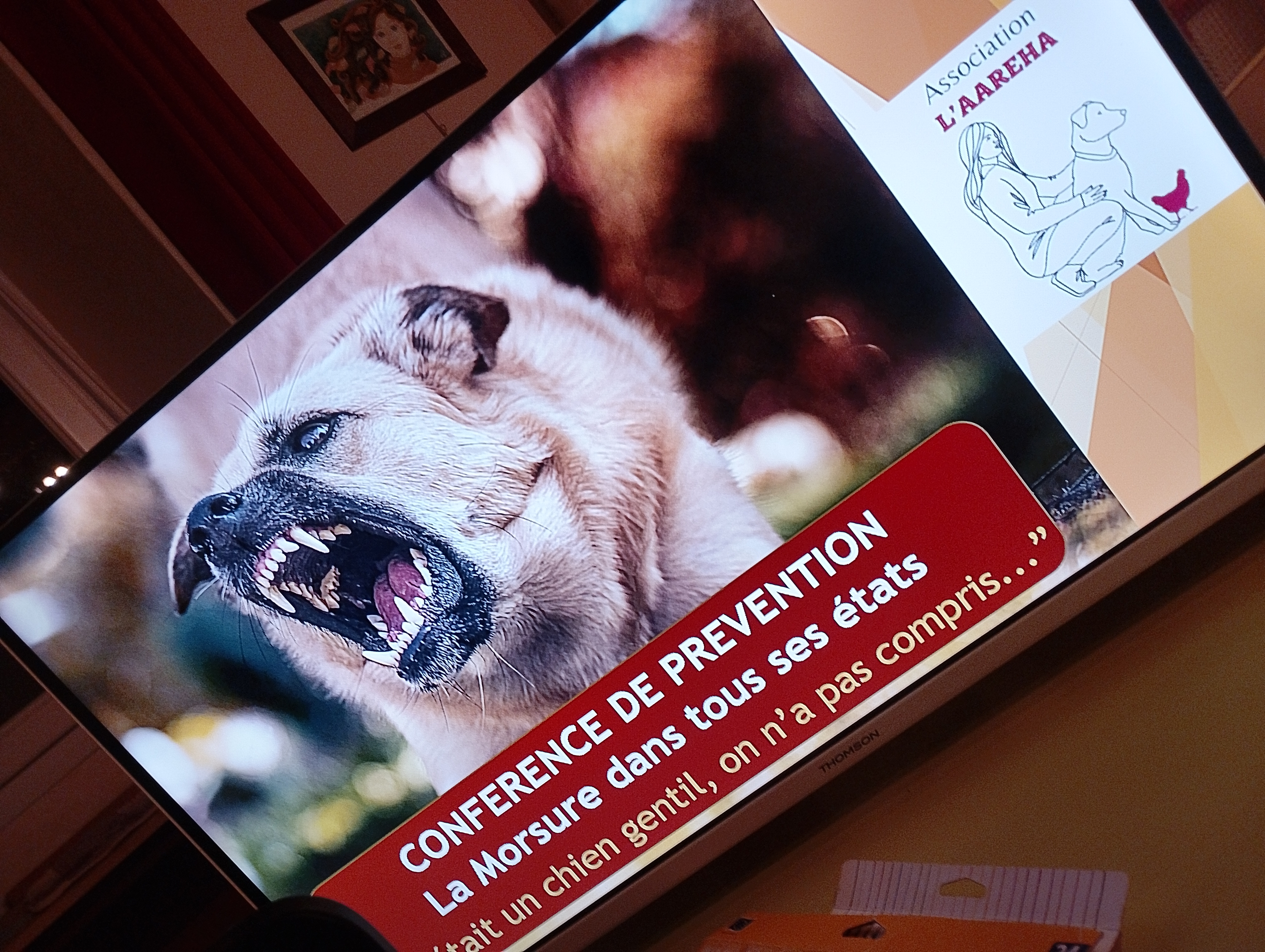 Img 20250927 213545 1