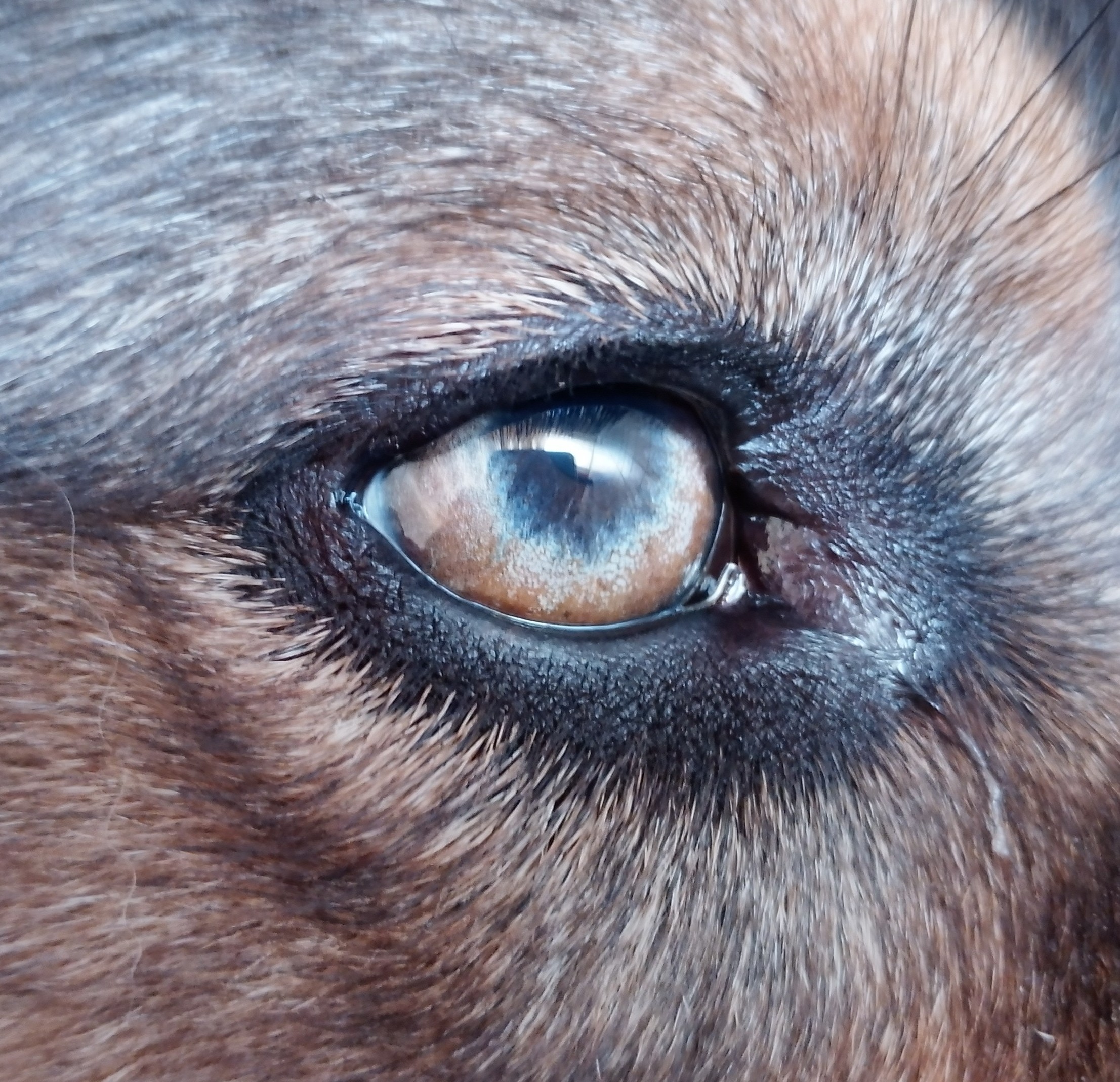 Img 20250602 162247 3