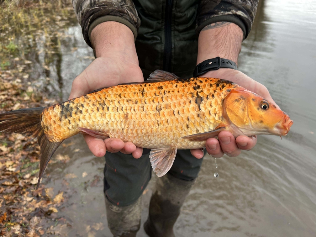 Received 877942197993140