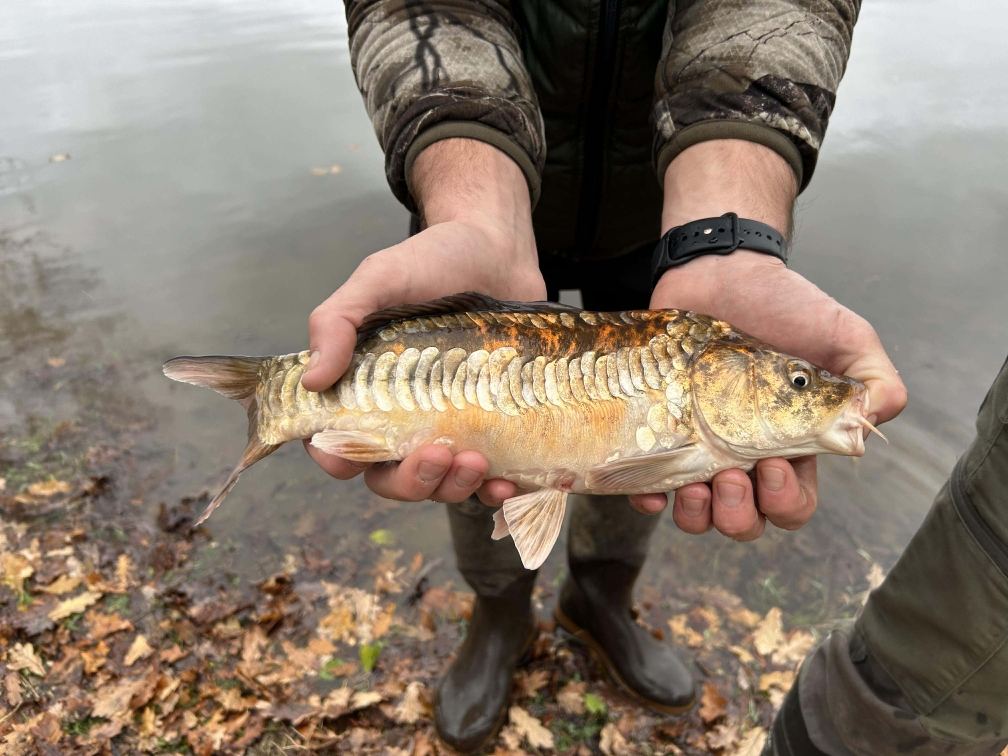 Received 1191108249035513