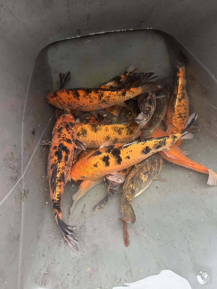 Received 1301912078359406