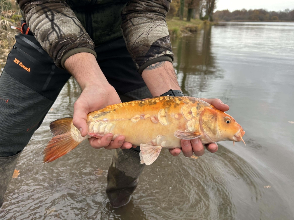 Received 847918241153666