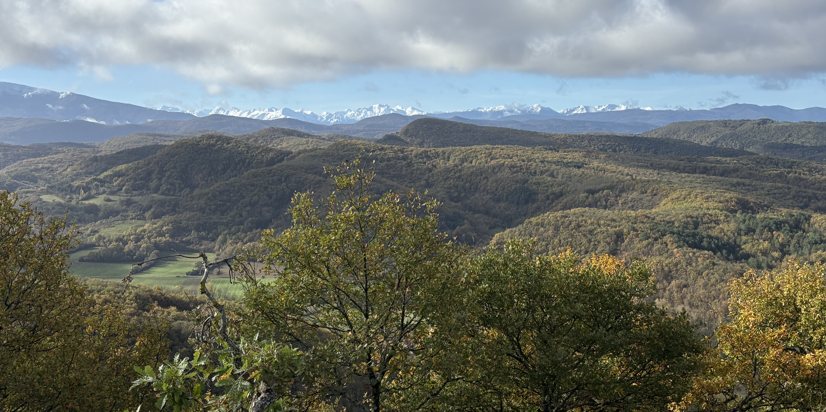 Capture-d-e-cran-2025-12-08-a-16-16-06