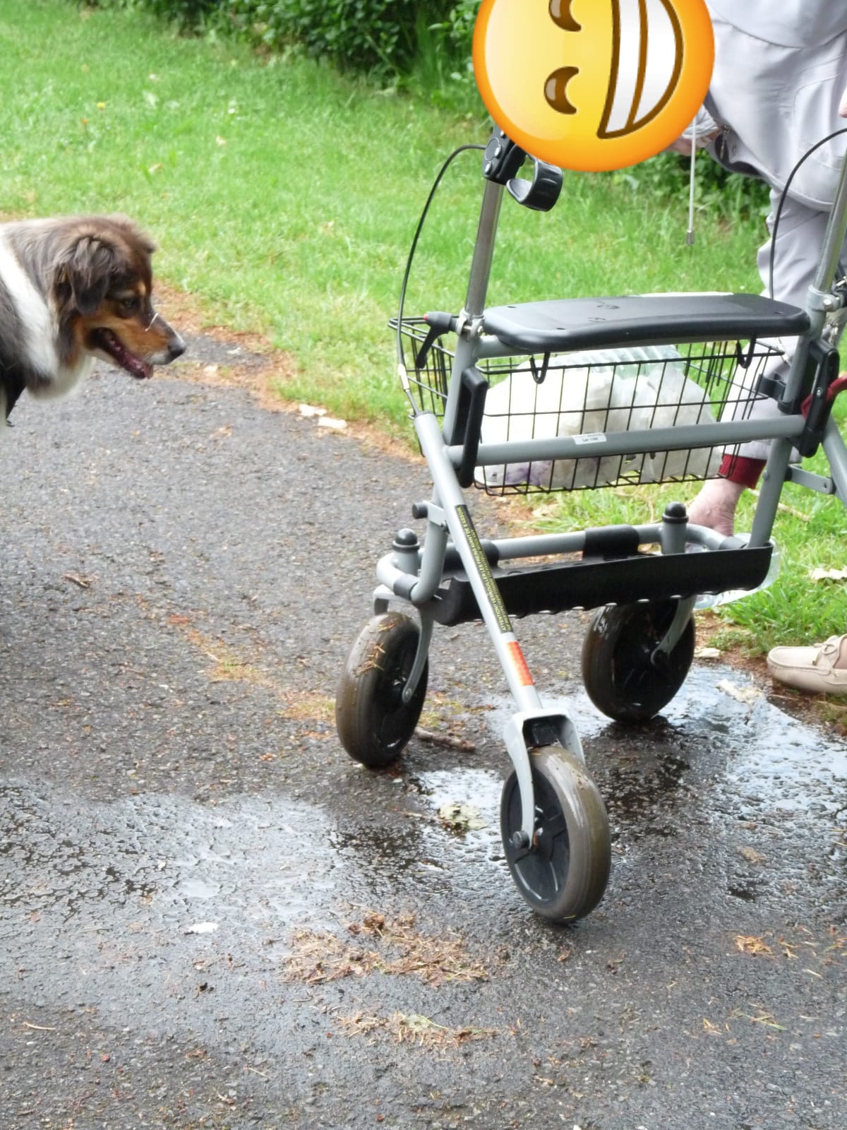 Whatsapp image 2025 12 08 a 19 02 44 2d0f39ee