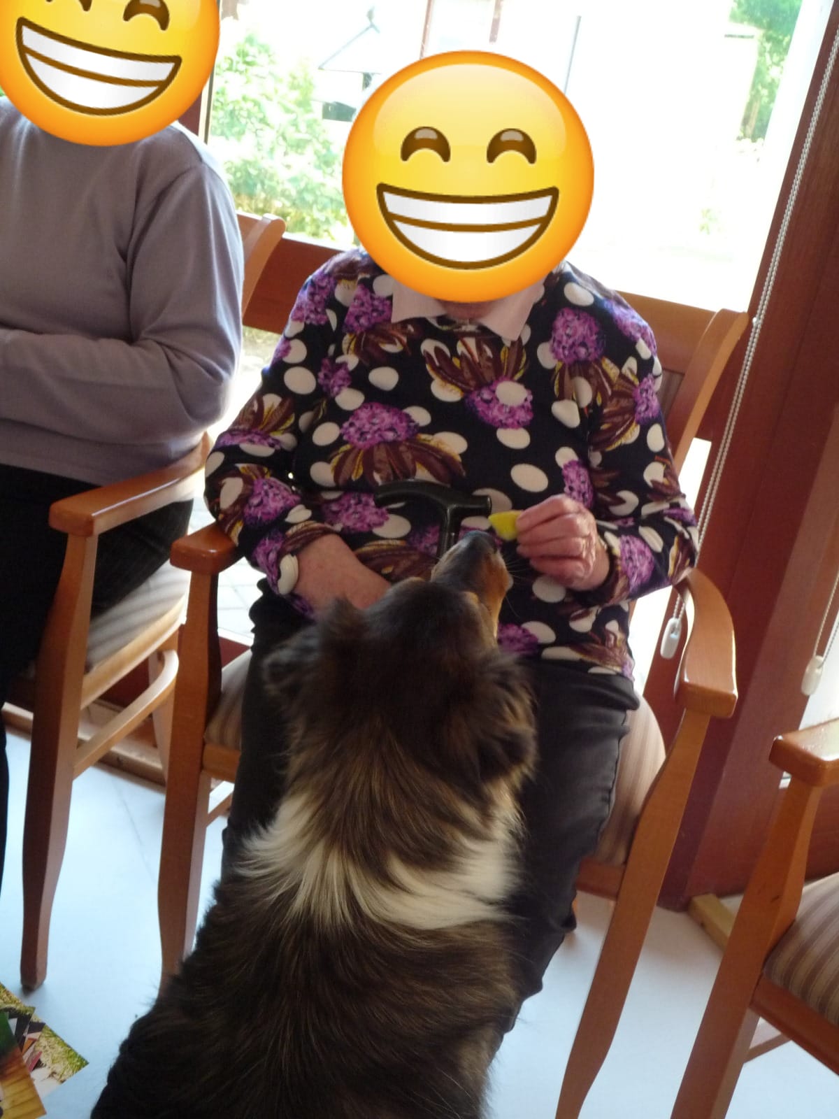 Whatsapp image 2025 12 08 a 19 01 15 99440717