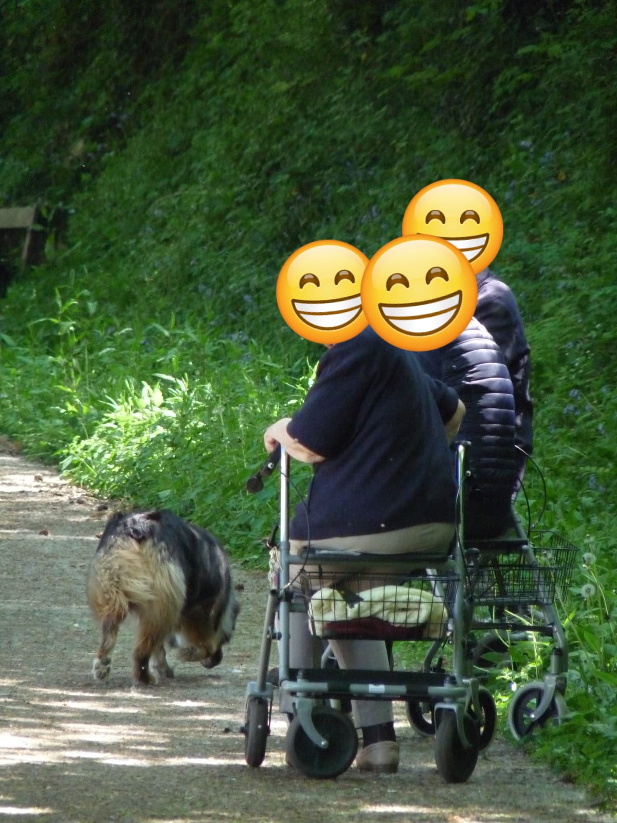 Whatsapp image 2025 12 08 a 19 00 03 dcf7f9ac