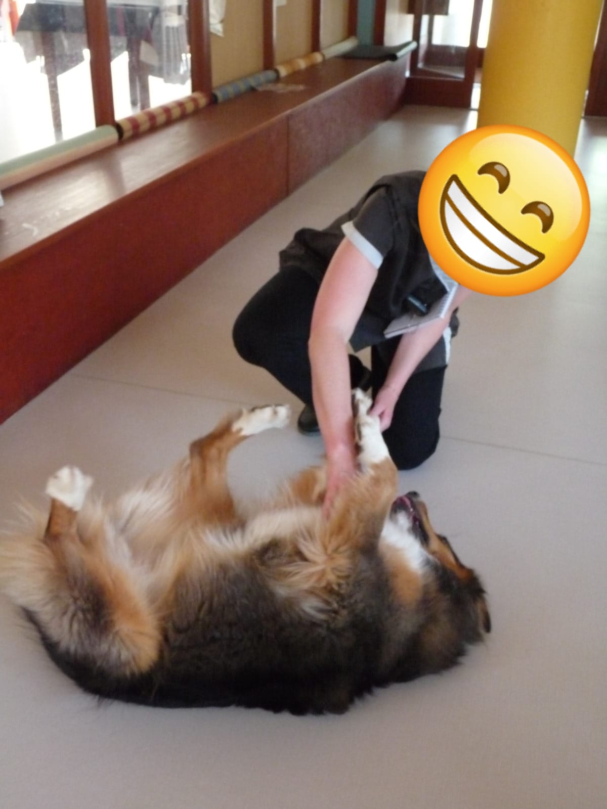 Whatsapp image 2025 12 08 a 18 58 34 92d08e4e