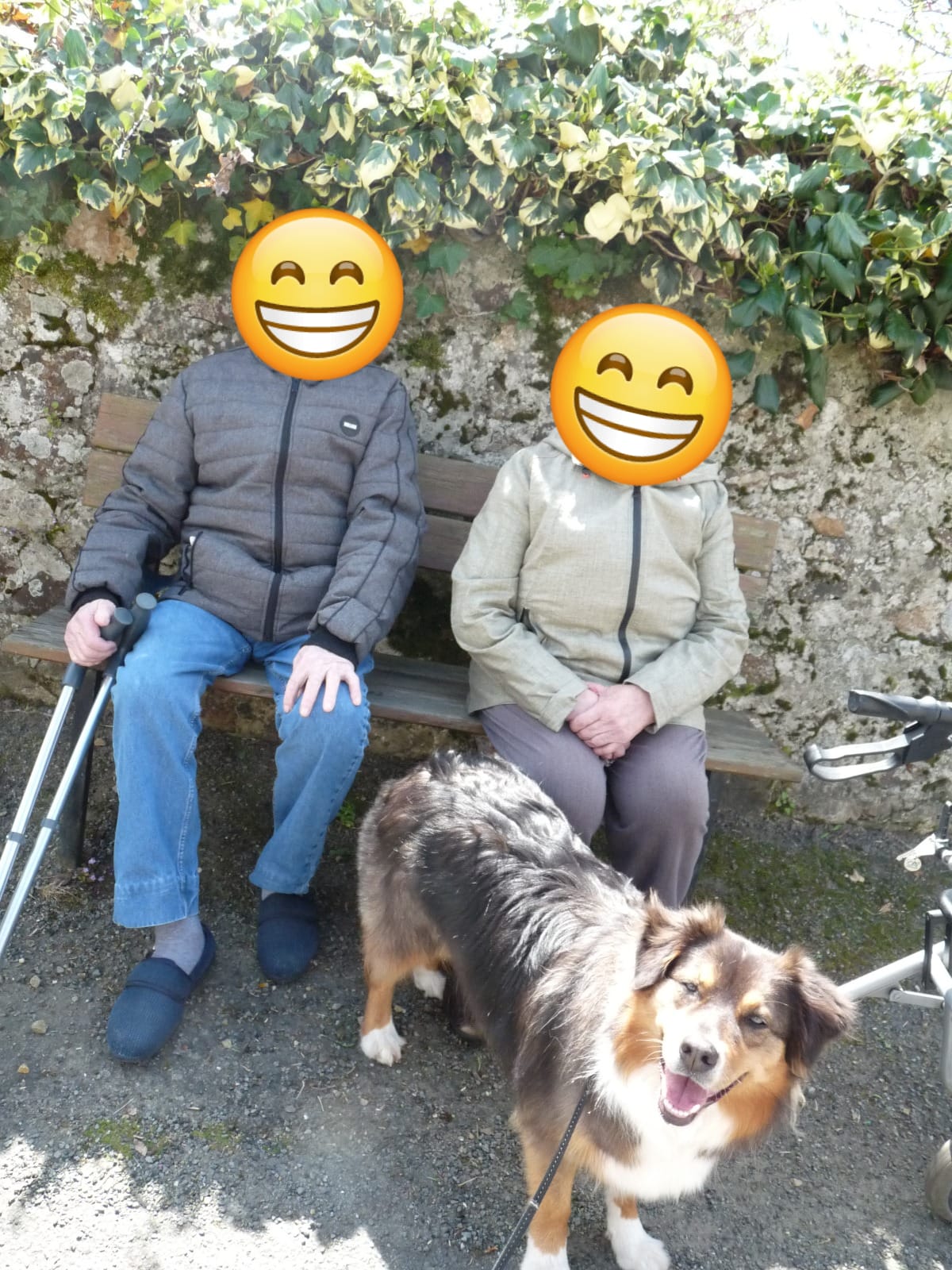 Whatsapp image 2025 12 08 a 18 56 42 40d78d9f