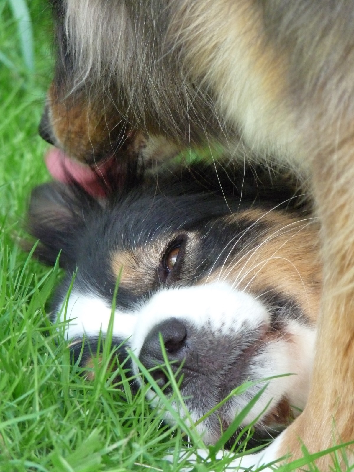 Whatsapp image 2025 12 08 a 18 53 16 fbbc3c5c