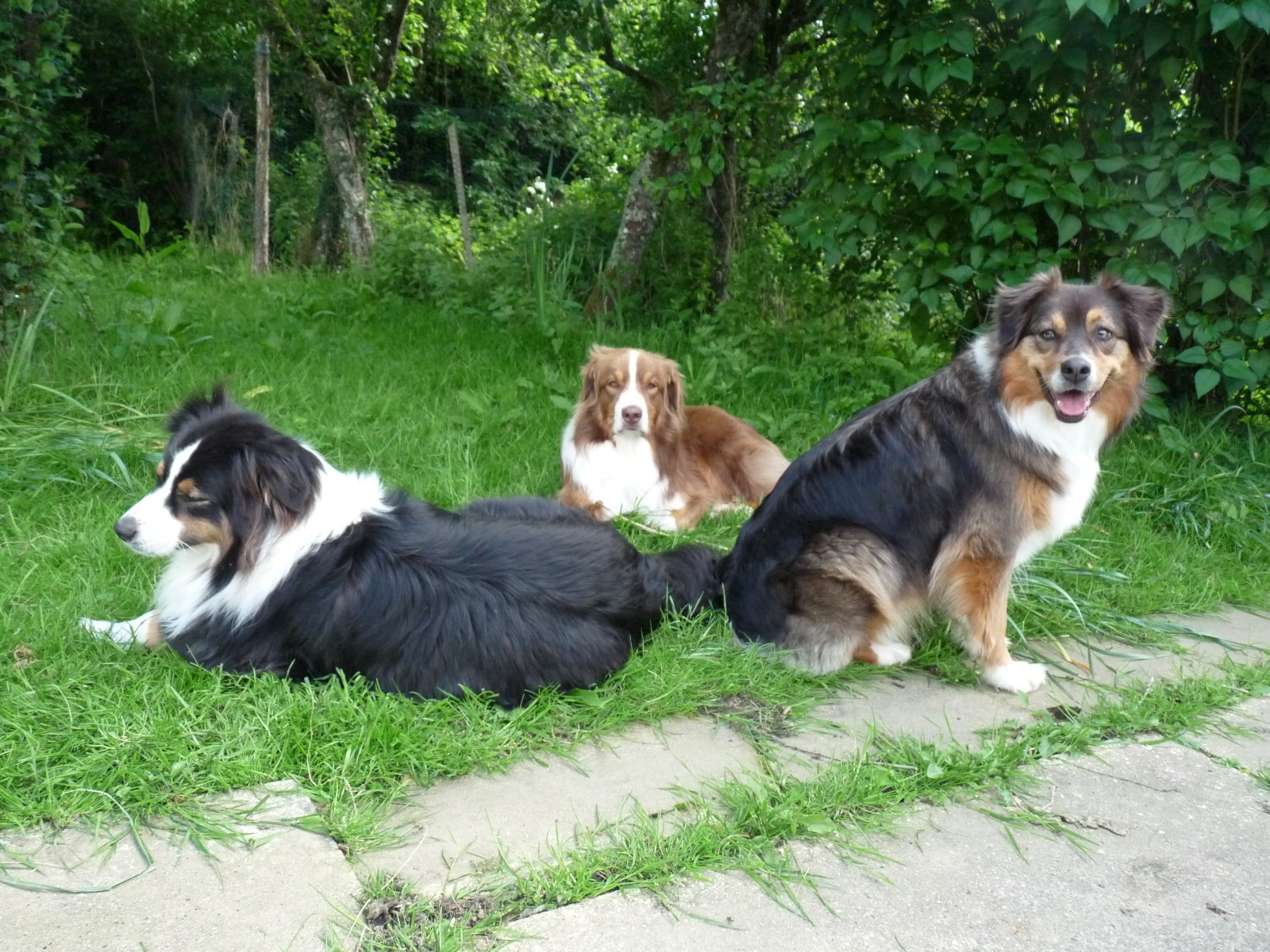 Whatsapp image 2025 12 08 a 18 53 16 076852e2