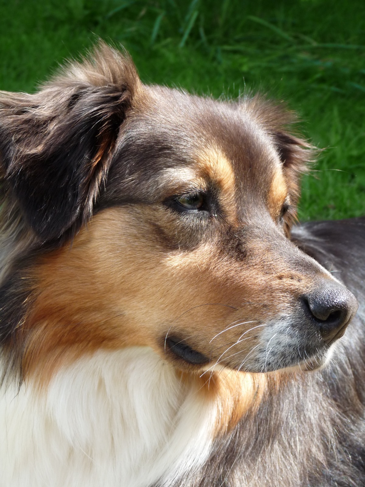 Whatsapp image 2025 12 08 a 18 53 15 ca2c1fe6