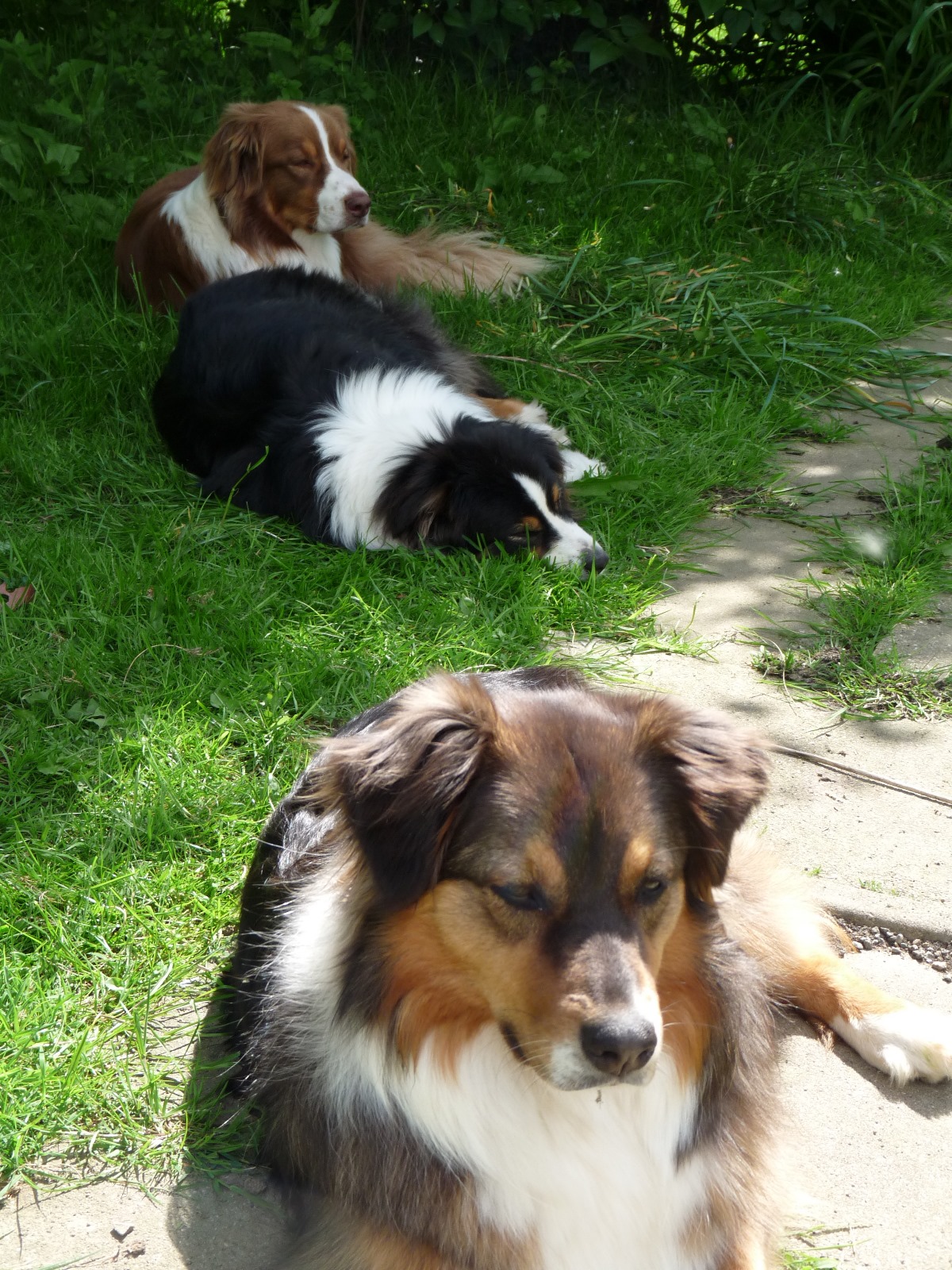 Whatsapp image 2025 12 08 a 18 53 14 cd273ee6