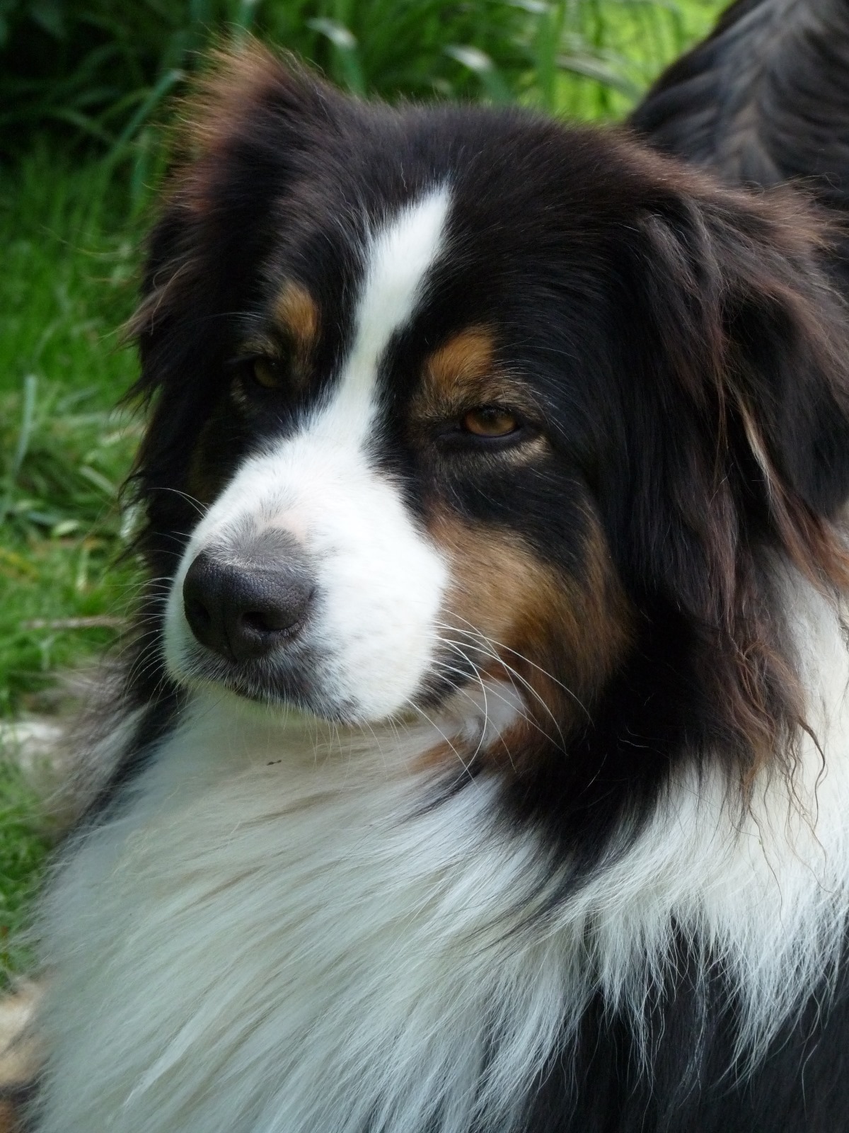 Whatsapp image 2025 12 08 a 18 53 13 af7a9c3e