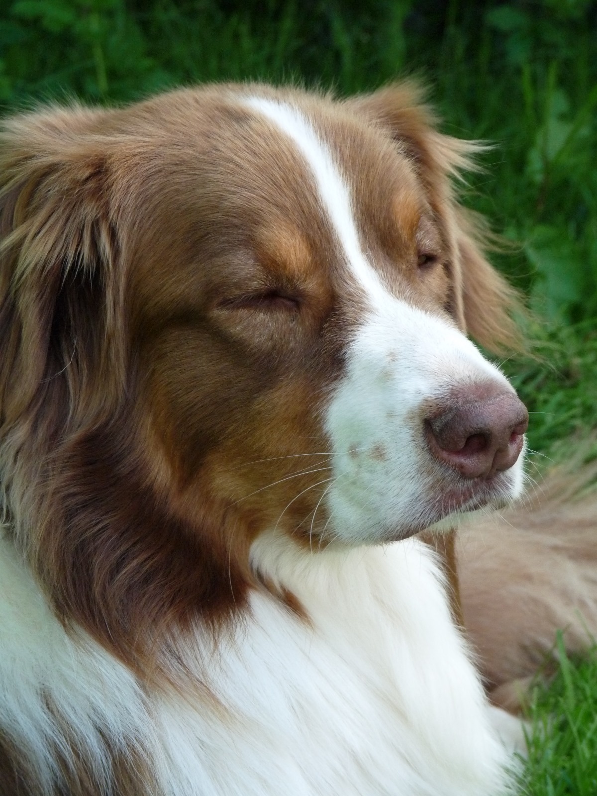 Whatsapp image 2025 12 08 a 18 53 12 303822fe