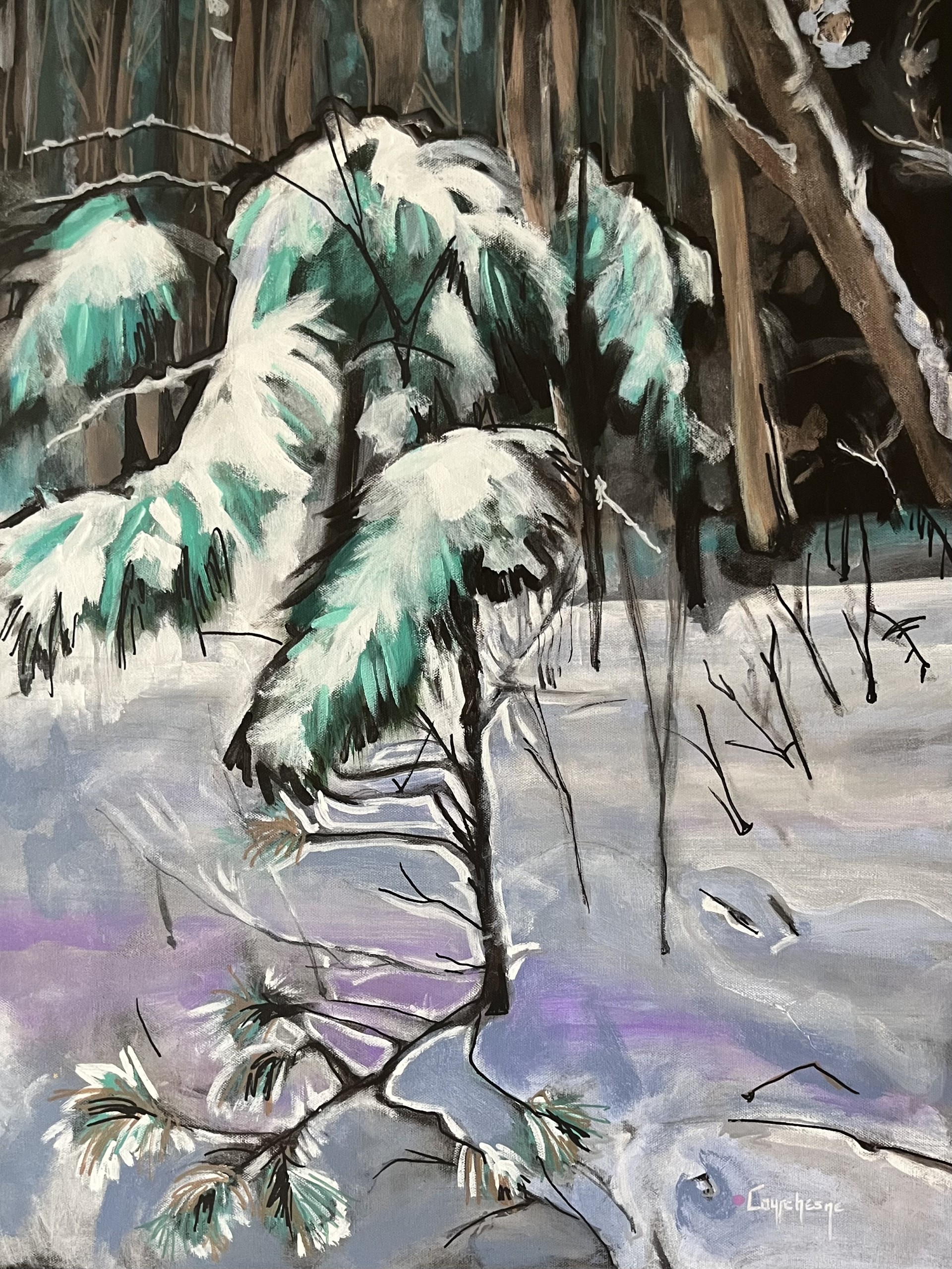 Branches-enneigees-2025