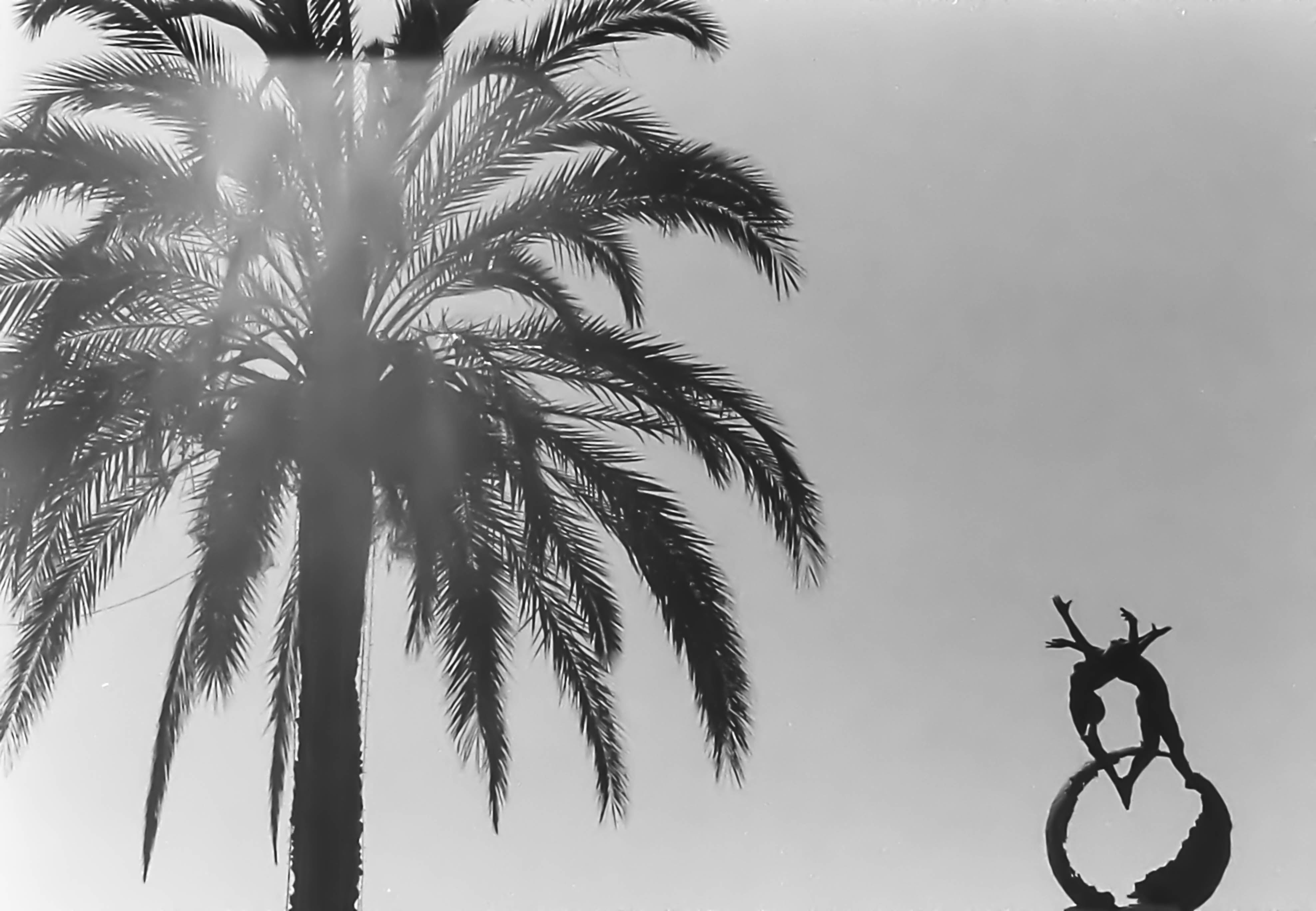 Agfa400 nikkormatel 5