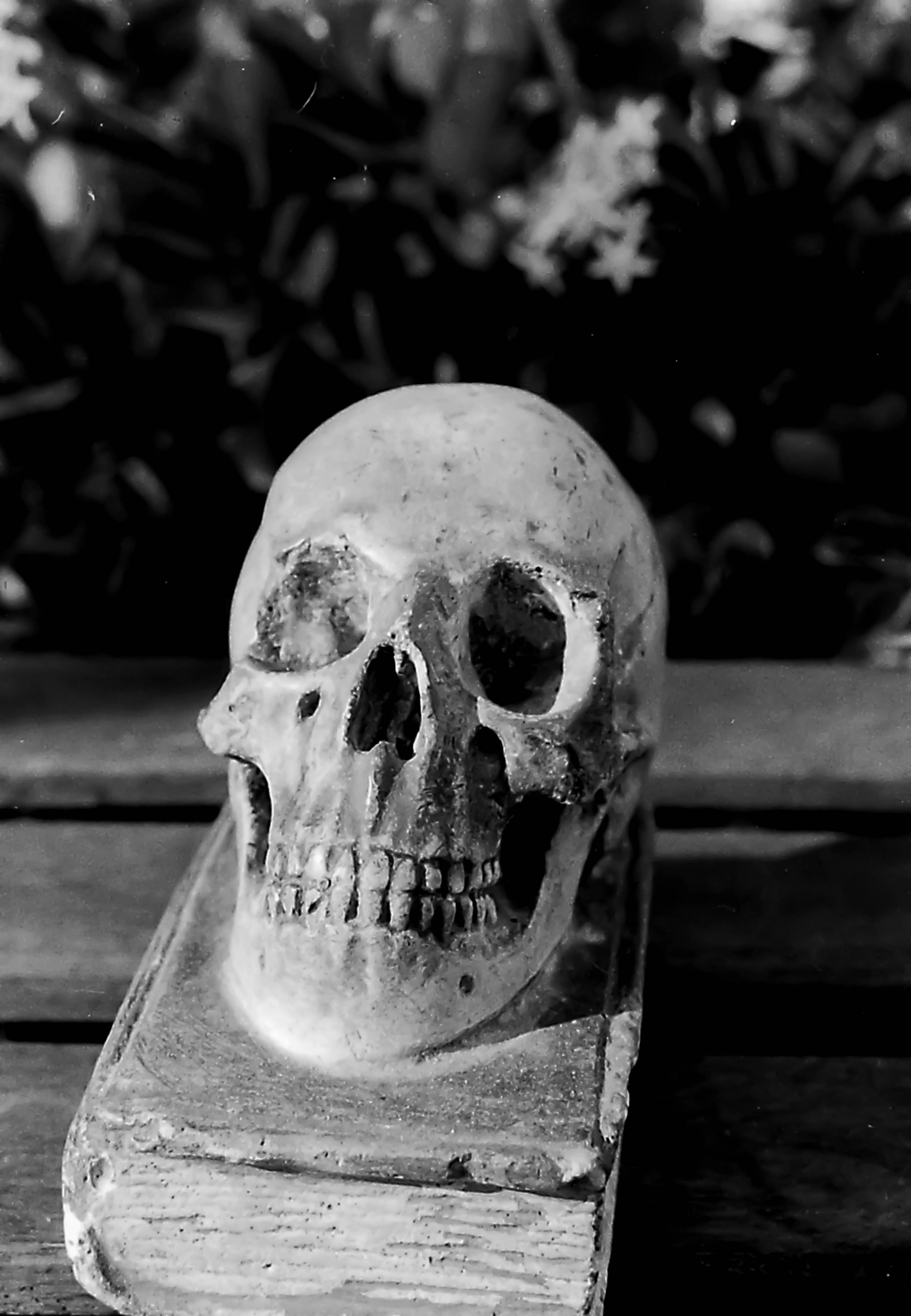 Fomapan200 canon t70 1