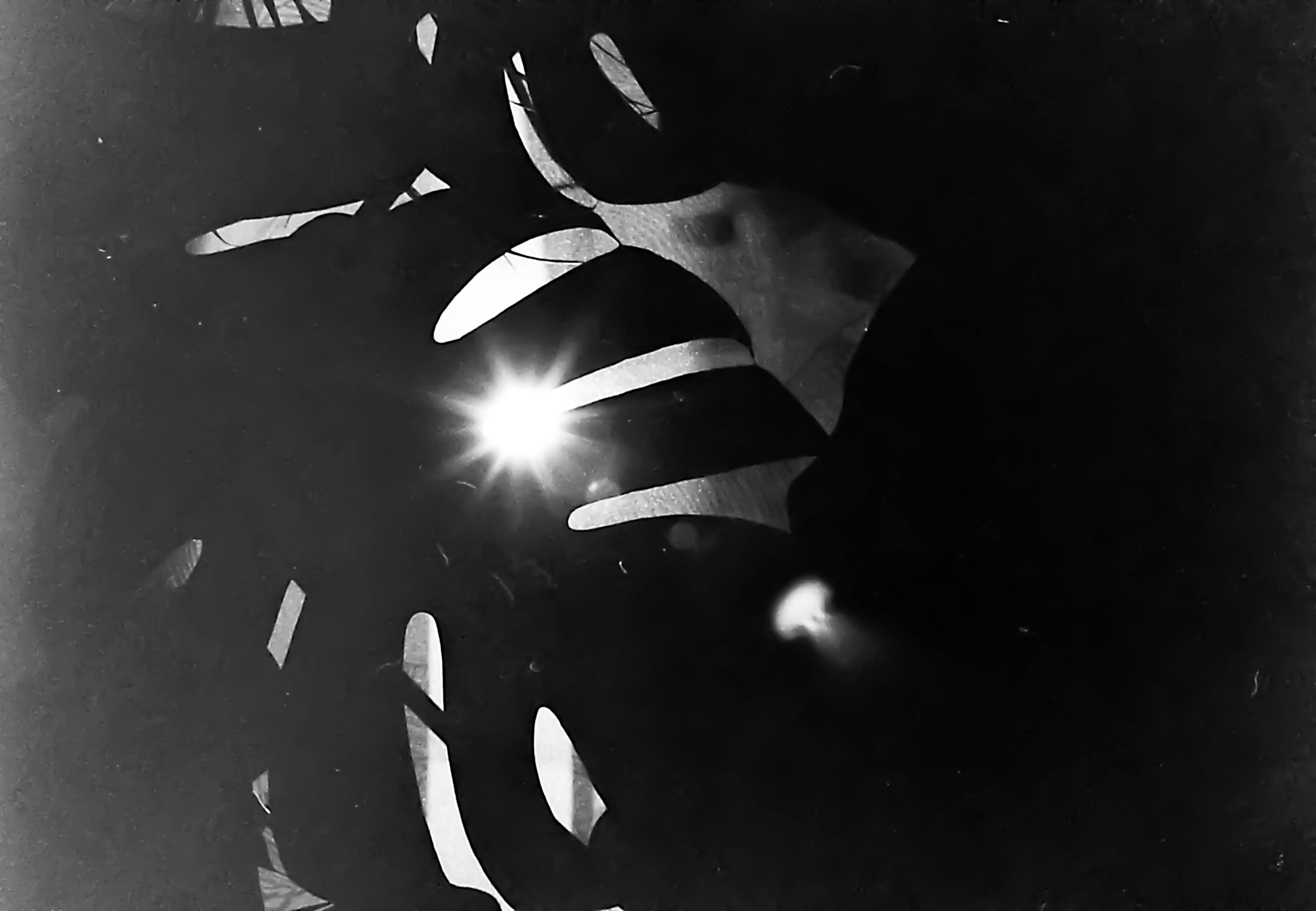 Fomapan200 nikkormatel 3