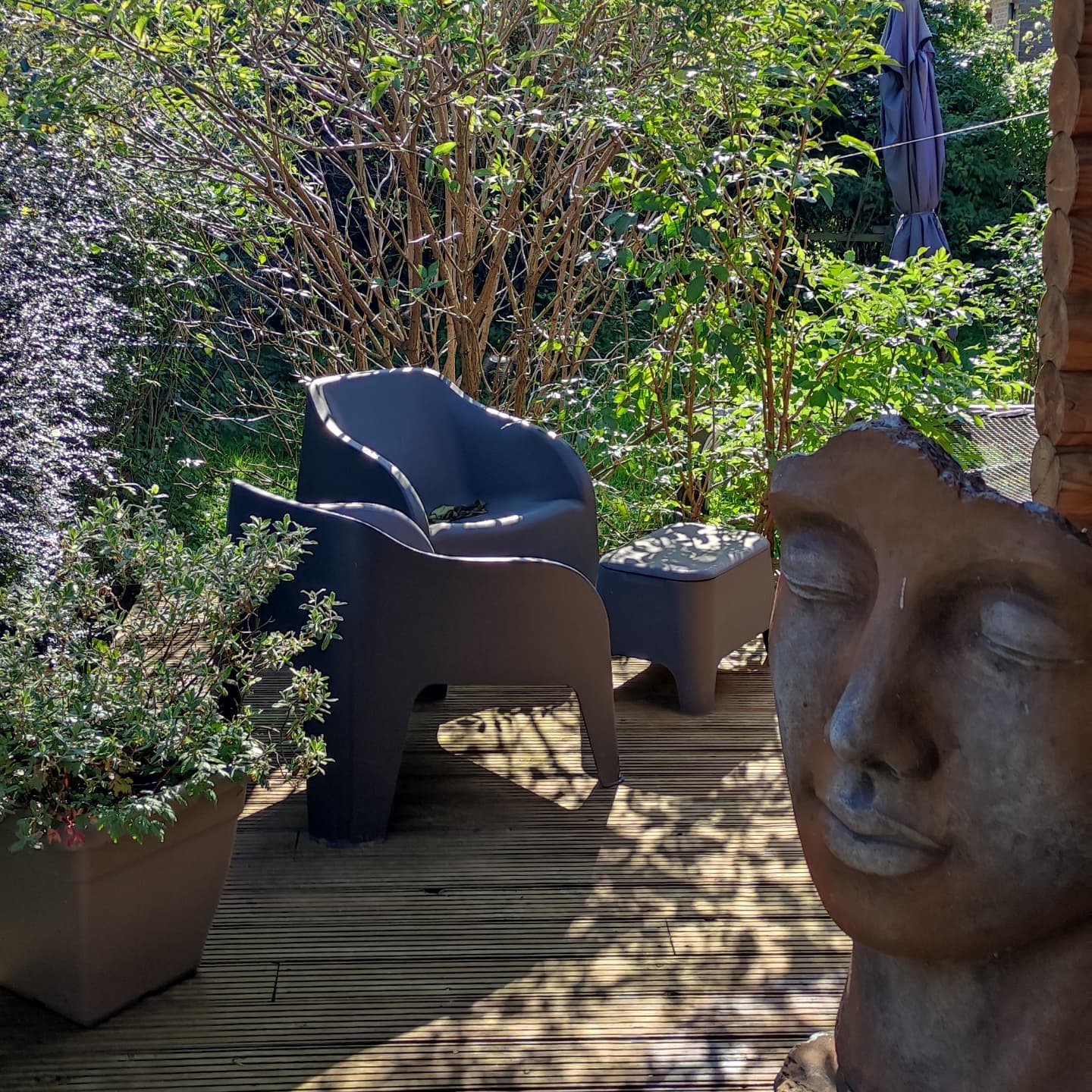 490636572 1198173752311488 4798030342154891645 n