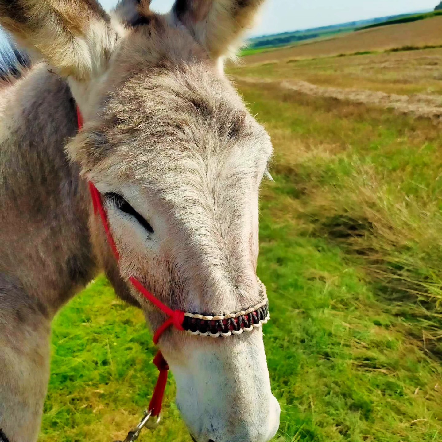 489954069 1193474572781406 9006014864047282610 n