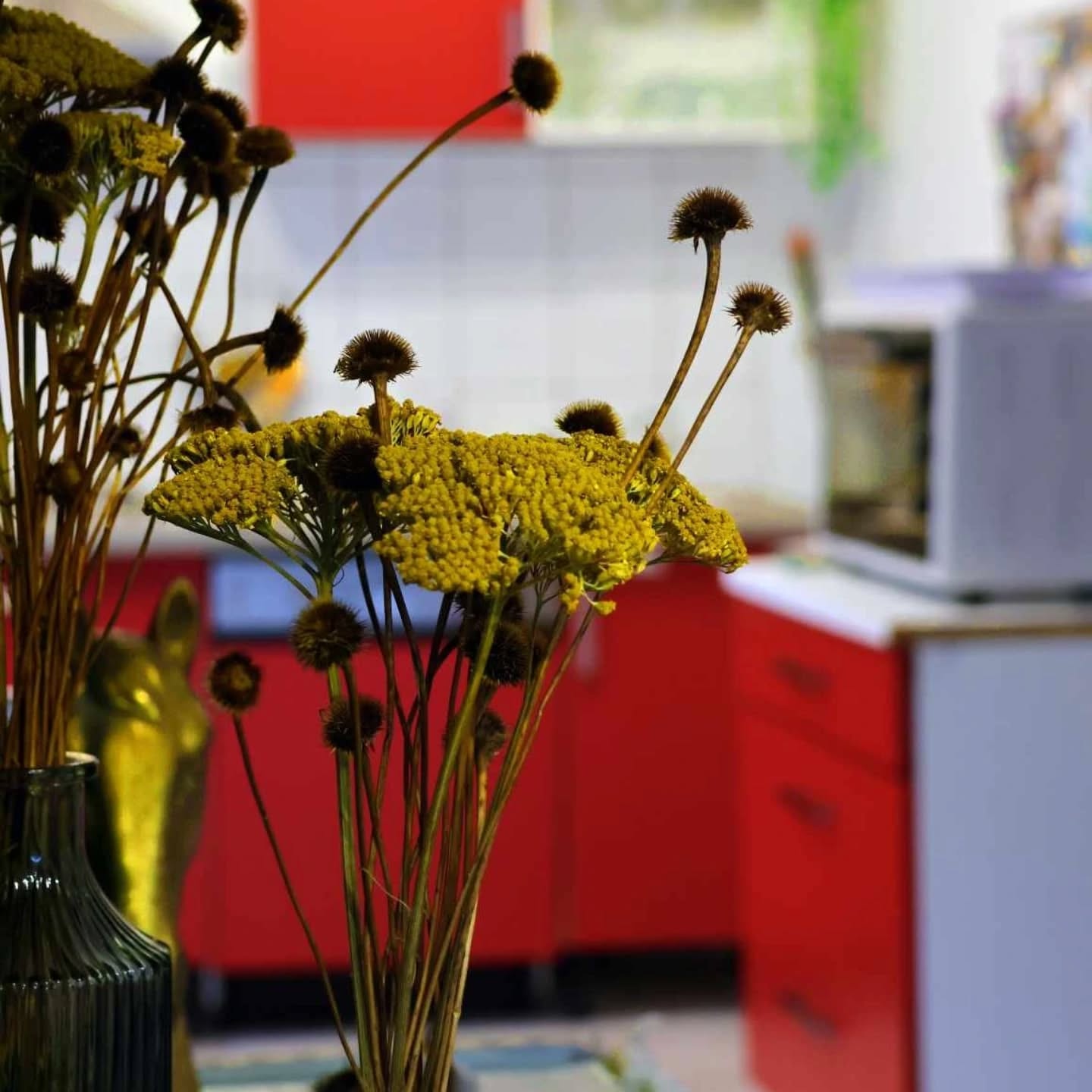 465301013 17947465769859836 3625877076038450994 n