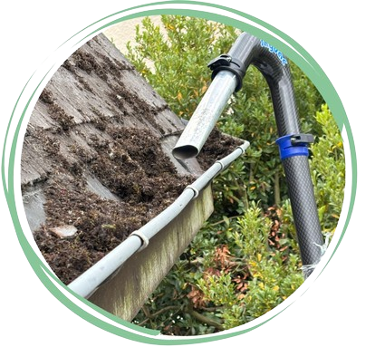 Economique  8 -removebg-preview