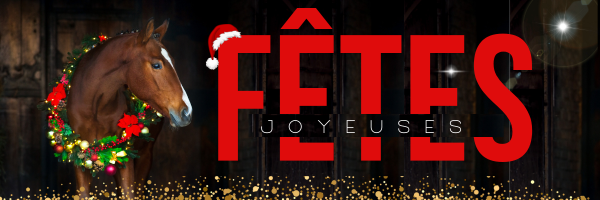 EQL-bannie-re-web-noel-joyeuses-fetes-