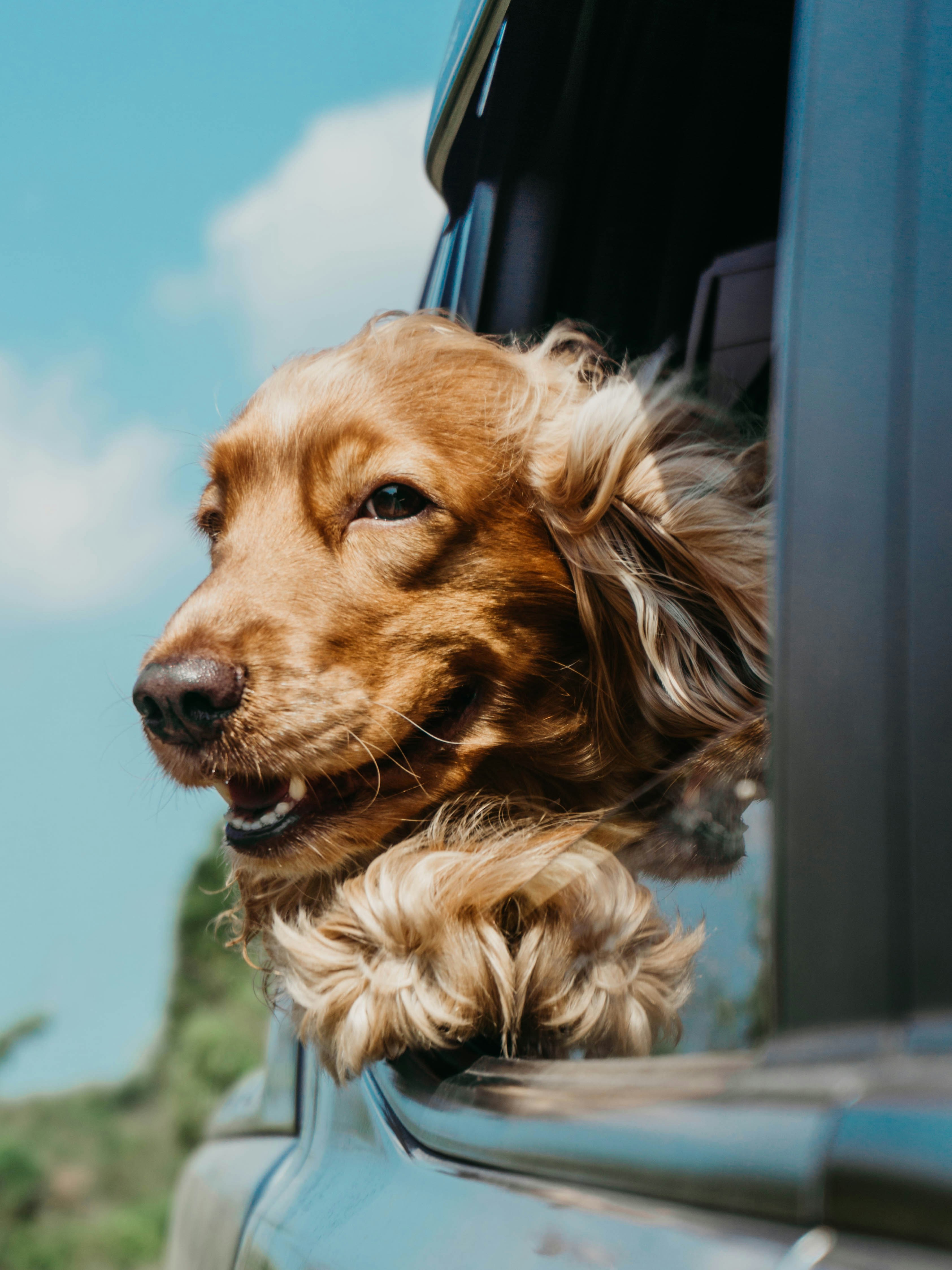 Ja-san-miguel- -QQuvAwQ-0-unsplash-Copie