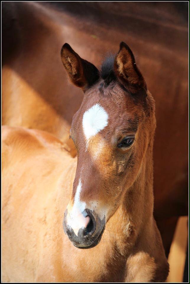 13319825 935694179876465 4156377330244473580 n