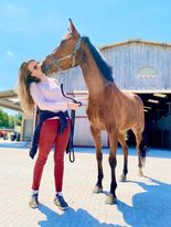 412560067 684429543727308 7144632542447530605 n