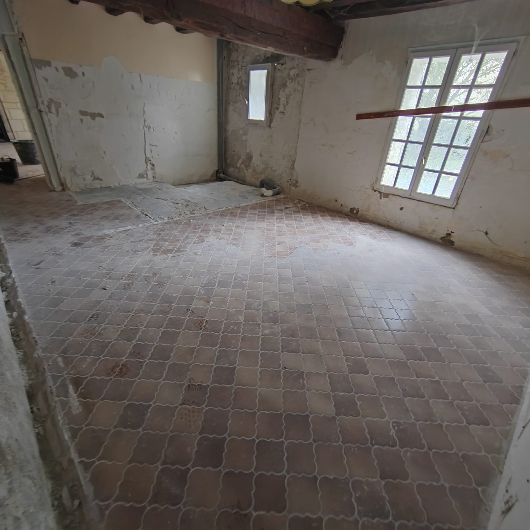 05d88edb f6c9 4f34 8581 772dc9bdd0cc